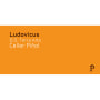 Pinol Ludovicus Tinto 2011 Front Label