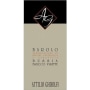 Attilio Ghisolfi Barolo Bussia Bricco Visette 2006 Front Label