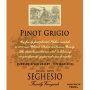 Seghesio Pinot Grigio 2013 Front Label