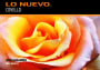 Lo Nuevo Covello Albarino 2011 Front Label