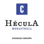 Bodegas Castano Hecula 2001 Front Label