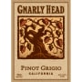 Gnarly Head Pinot Grigio 2013 Front Label