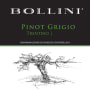 Bollini Pinot Grigio 2013 Front Label