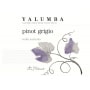Yalumba Y Series Pinot Grigio 2014 Front Label