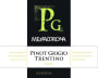 Mezzacorona Trentino Riserva Pinot Grigio 2010 Front Label