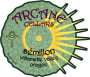 Arcane  Semillon 2013 Front Label