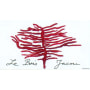 Jean-Francois Merieau Gamay de Touraine Bois Jacou 2012 Front Label