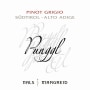 Nals Margreid Punggl Pinot Grigio 2010 Front Label