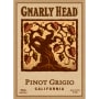 Gnarly Head Pinot Grigio 2014 Front Label