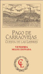 Pago de Carraovejas Cuesta de las Liebres Vendimia Seleccionada 2009 Front Label