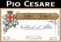 Pio Cesare Nebbiolo d'Alba 2012 Front Label
