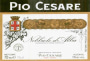 Pio Cesare Nebbiolo d'Alba 2000 Front Label