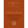 Felsina Chianti Classico Colonia Gran Selezione 2010 Front Label
