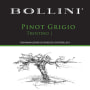 Bollini Pinot Grigio 2014 Front Label