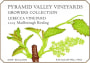 Pyramid Valley Lebecca Vineyard Riesling 2005 Front Label