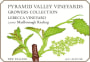 Pyramid Valley Lebecca Vineyard Riesling 2007 Front Label