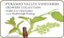 Pyramid Valley Lebecca Vineyard Riesling 2006 Front Label