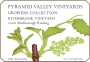 Pyramid Valley Riverbrook Riesling 2008 Front Label