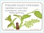 Pyramid Valley Riverbrook Riesling 2010 Front Label