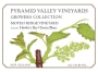 Pyramid Valley Moteo Ridge Vineyard Chenin Blanc 2010 Front Label