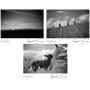 Robert Sinskey Point of View 2011 Front Label