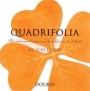 Quinta do Vallado Quadrifolia 2012 Front Label
