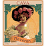 Bodegas Naveran Rosado 2014 Front Label