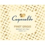 Caposaldo Pinot Grigio 2015 Front Label
