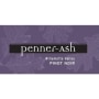 Penner-Ash Willamette Valley Pinot Noir (375ML half-bottle) 2013 Front Label