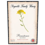 Reynolds Family Winery Persistence 2012 Front Label
