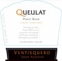 Vina Ventisquero Queulat Gran Reserva Pinot Noir 2013 Front Label