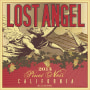 Lost Angel Pinot Noir 2014 Front Label