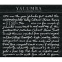 Yalumba FDR1A Cabernet-Shiraz 2012 Front Label