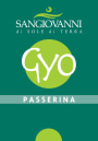 Pasini San Giovanni Marche GYO Passerina 2015 Front Label