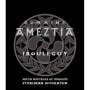 Domaine Ameztia Irouleguy Rouge 2014 Front Label