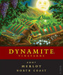 Dynamite Vineyards Merlot 2007 Front Label
