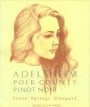 Adelsheim Seven Springs Pinot Noir 1995 Front Label