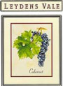 Leydens Vale Cabernet Sauvignon 1997 Front Label