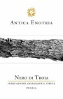 Antica Enotria Nero di Troia 2008 Front Label