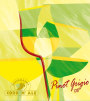 Azienda Agricola Rubini delle Venezie Pinot Grigio 2008 Front Label