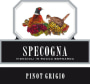 Azienda Agricola Specogna Pinot Grigio 2013 Front Label