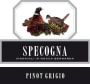 Azienda Agricola Specogna Pinot Grigio 2010 Front Label