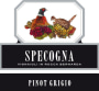 Azienda Agricola Specogna Pinot Grigio 2015 Front Label