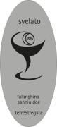 Terre Stregate Sannio Svelato Falanghina 2014 Front Label