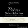 Mocavero Salice Salentino Puteus Riserva 2008 Front Label