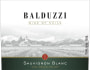 Balduzzi Vineyards & Winery  Maule Valley  Sauvignon Blanc 2015 Front Label