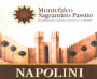 Cantina Napolini Montefalco Sagrantino Passito 2010 Front Label