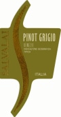 Cantine Salvalai Delle Venezie Pinot Grigio 2015 Front Label