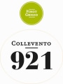 Casa Vinicola Antonutti ColleVento 921 Pinot Grigio 2015 Front Label