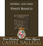 Castel Sallegg Sudtirol-Alto Adige Pinot Grigio 2014 Front Label